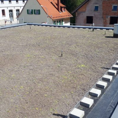 Lohrmann-Blechtechnik-Dachbegrünung-Klempnerei-Dachdeckerei